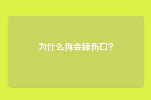 为什么狗会舔伤口？