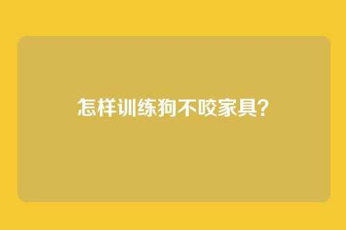 怎样训练狗不咬家具？