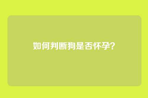如何判断狗是否怀孕？