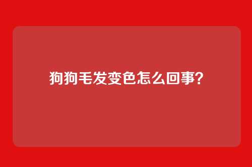 狗狗毛发变色怎么回事？