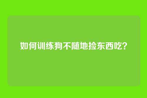 如何训练狗不随地捡东西吃？