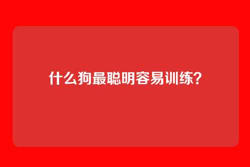 什么狗最聪明容易训练？