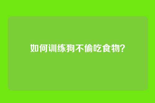 如何训练狗不偷吃食物？