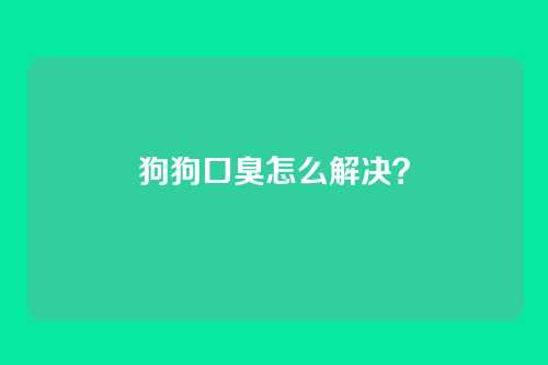 狗狗口臭怎么解决？