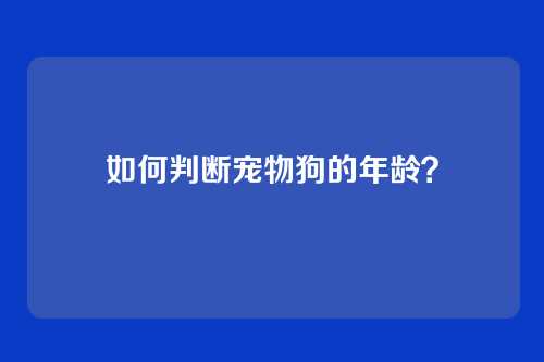 如何判断宠物狗的年龄？
