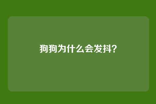 狗狗为什么会发抖？