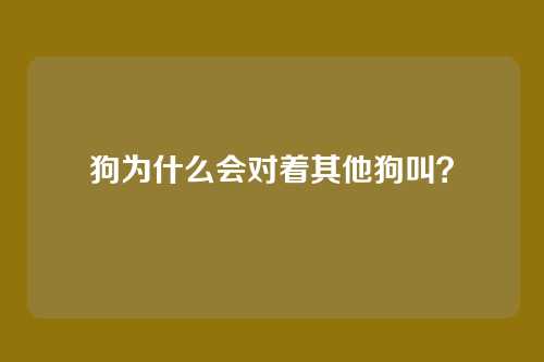 狗为什么会对着其他狗叫？
