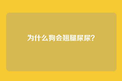 为什么狗会翘腿尿尿？