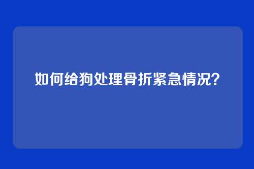 如何给狗处理骨折紧急情况？