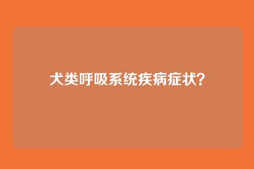 犬类呼吸系统疾病症状？