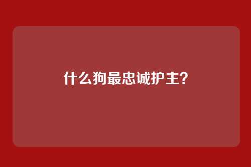 什么狗最忠诚护主？