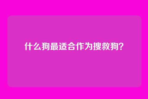 什么狗最适合作为搜救狗？
