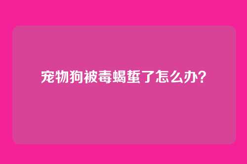 宠物狗被毒蝎蜇了怎么办？