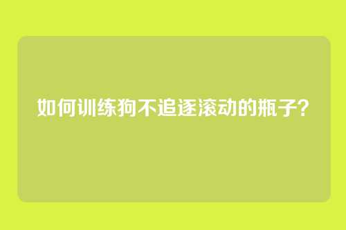 如何训练狗不追逐滚动的瓶子？