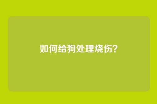 如何给狗处理烧伤？