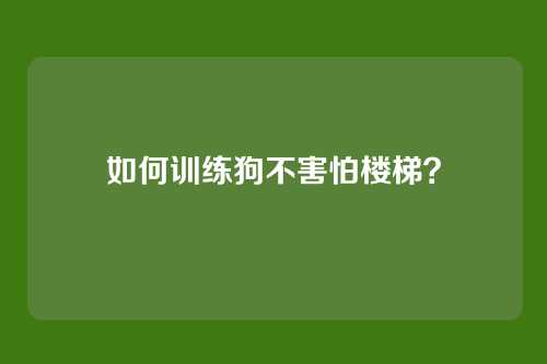 如何训练狗不害怕楼梯？