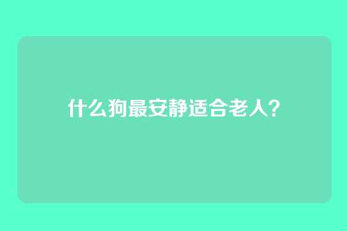 什么狗最安静适合老人？