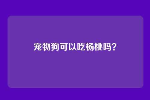 宠物狗可以吃杨桃吗？
