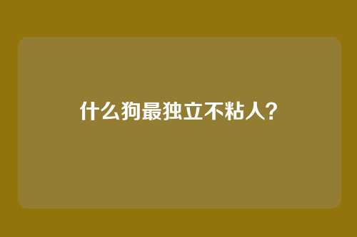 什么狗最独立不粘人？