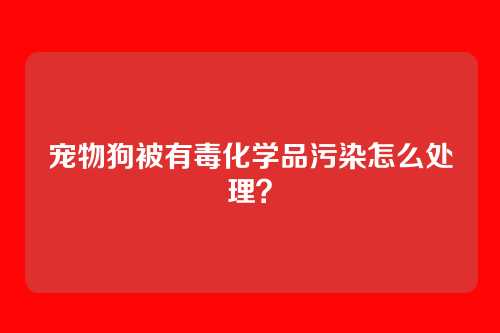 宠物狗被有毒化学品污染怎么处理？