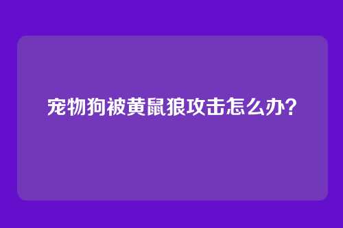 宠物狗被黄鼠狼攻击怎么办？