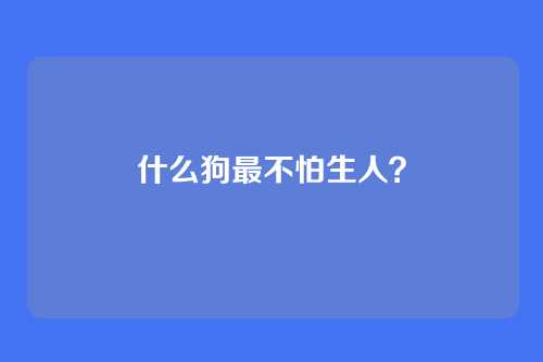 什么狗最不怕生人？