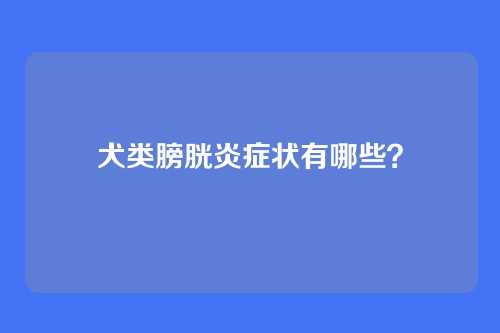 犬类膀胱炎症状有哪些？