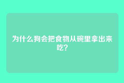 为什么狗会把食物从碗里拿出来吃？