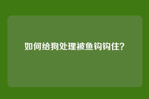 如何给狗处理被鱼钩钩住？