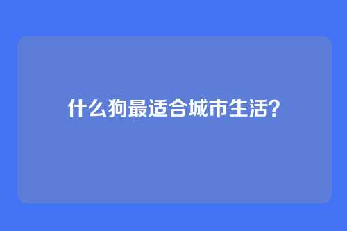 什么狗最适合城市生活？