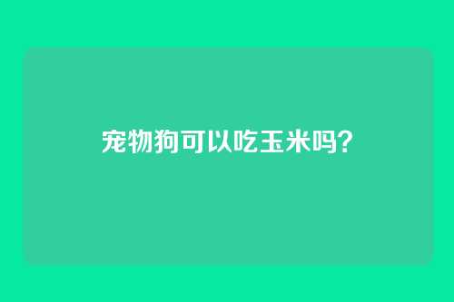宠物狗可以吃玉米吗？