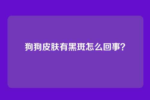 狗狗皮肤有黑斑怎么回事？