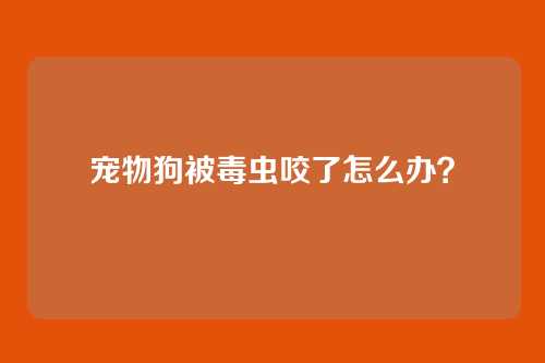 宠物狗被毒虫咬了怎么办？