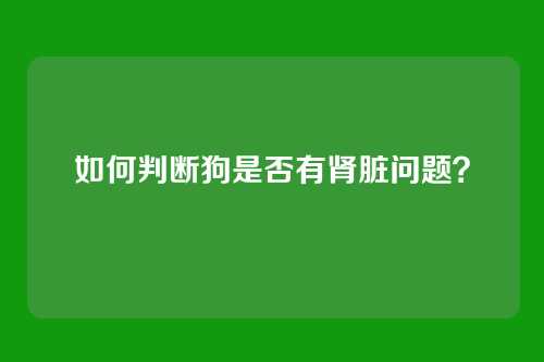 如何判断狗是否有肾脏问题？