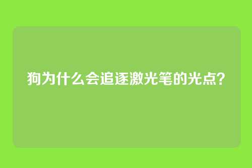 狗为什么会追逐激光笔的光点？