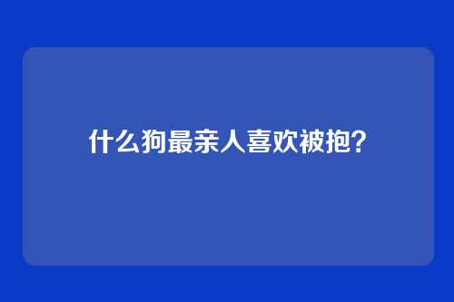 什么狗最亲人喜欢被抱？