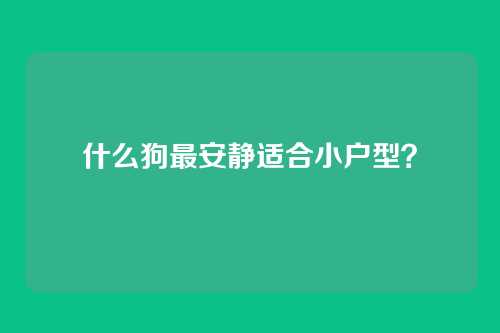 什么狗最安静适合小户型？