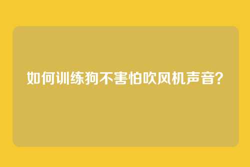 如何训练狗不害怕吹风机声音？