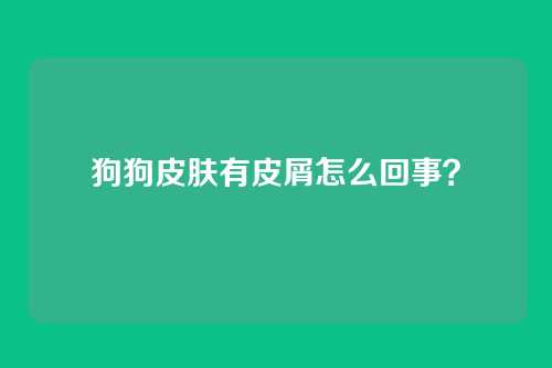 狗狗皮肤有皮屑怎么回事？