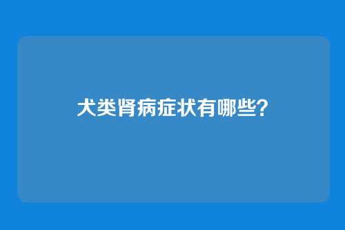 犬类肾病症状有哪些？