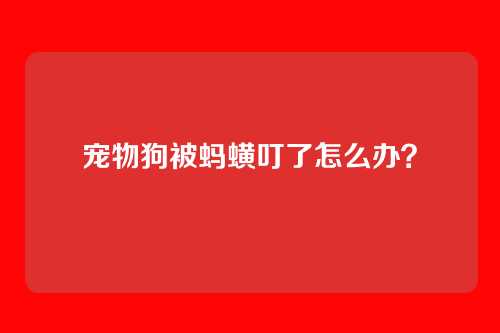 宠物狗被蚂蟥叮了怎么办？