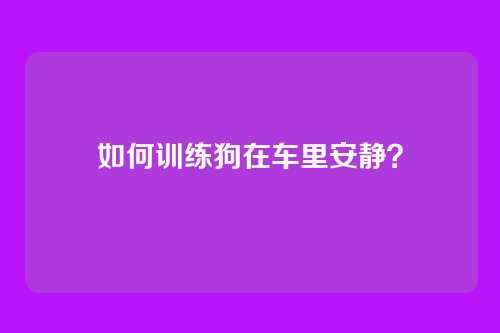 如何训练狗在车里安静？