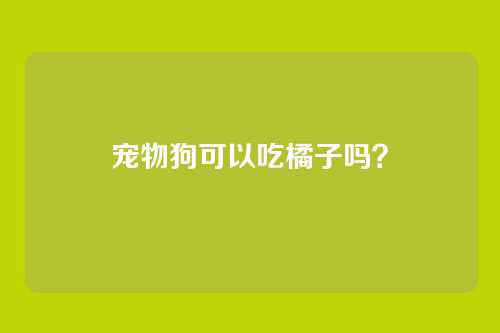 宠物狗可以吃橘子吗？