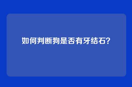 如何判断狗是否有牙结石？