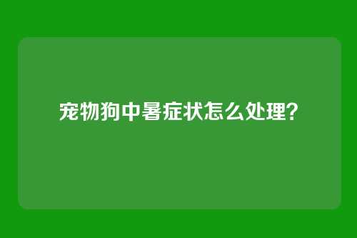 宠物狗中暑症状怎么处理？