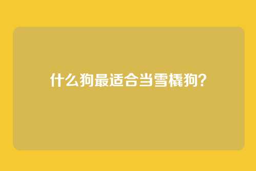 什么狗最适合当雪橇狗？