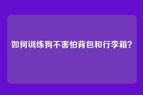 如何训练狗不害怕背包和行李箱？
