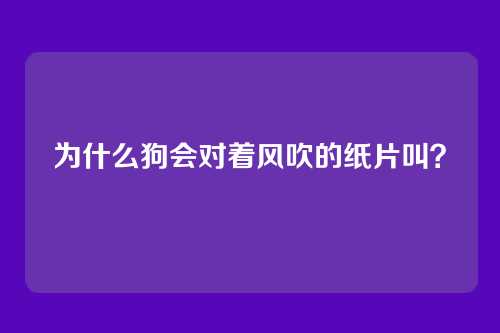 为什么狗会对着风吹的纸片叫？