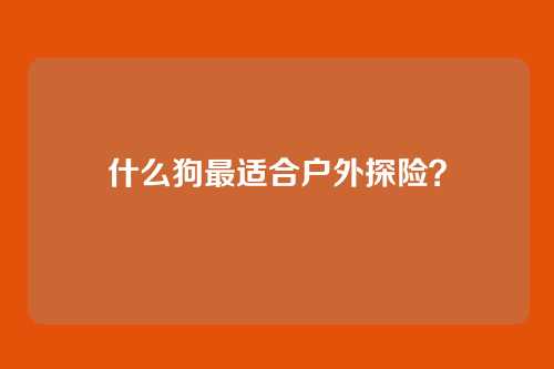 什么狗最适合户外探险？