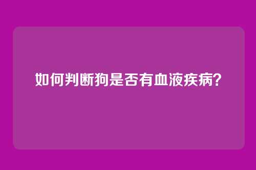 如何判断狗是否有血液疾病？
